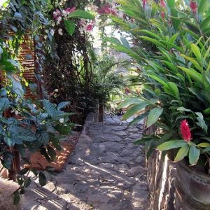 Alma-de-Artista-garden