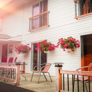 Forest-house-tobermory