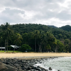 Turtle-Cove-Australia