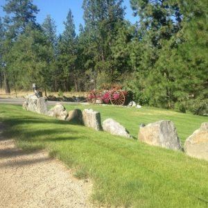 eagles-nest-bnb-yard