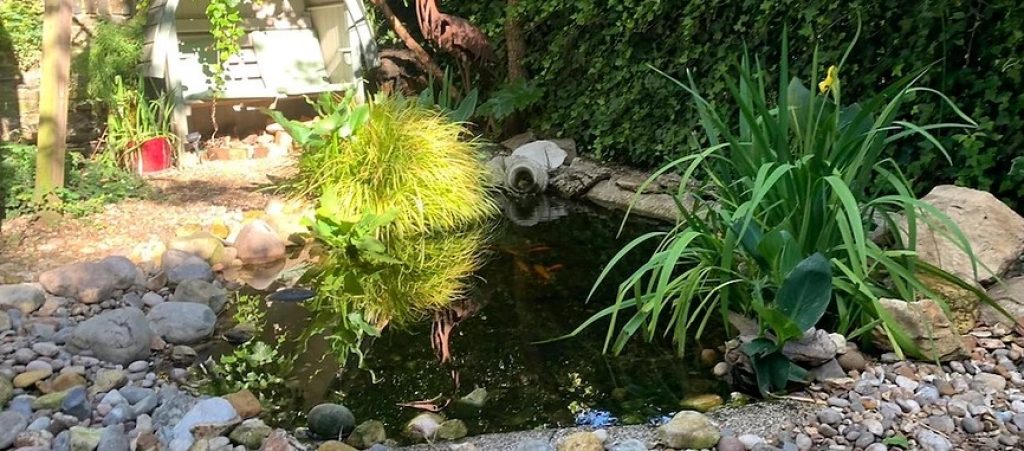 griffin-house-garden-pond