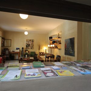 palerno-viejo-lounge3