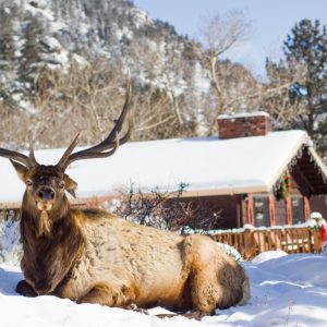 McGregor-mountain-lodge-rocky-mountain-colorado