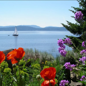 serenity-by-the-sea-galiano-island-bc