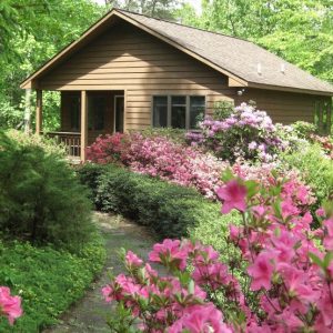 chelsey-creek-cabins-blue-ridge-mtns