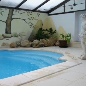 Le_Vieux_Donjon_Pressigny_les_Pins_France