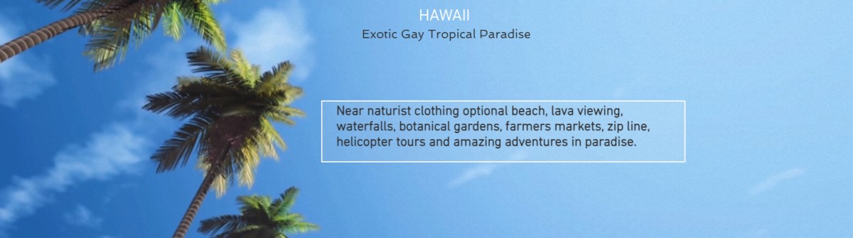 Gay Hawaii Clothing optional gay guesthouse