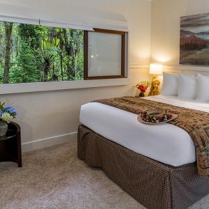 Volcano Village bedroom gay friendly